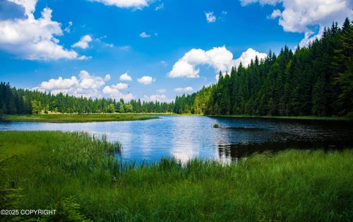 TR I ASLS 85-015, Skwentna, AK, 99000 | Card Image