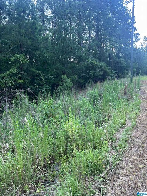 215-0 Shore Side Ln, SYLACAUGA, AL, 35151 | Card Image