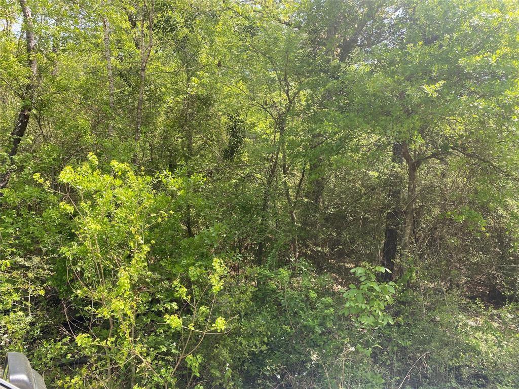 Land in Plantersville