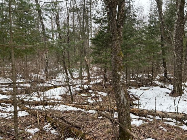 743 Woodlawn Rd, House other with 2 bedrooms, 1 bathrooms and null parking in Pickerel WI | Image 67
