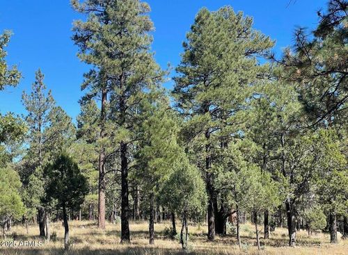 122-2634 San Juan Dr, Happy Jack, AZ, 86024-8422 | Card Image