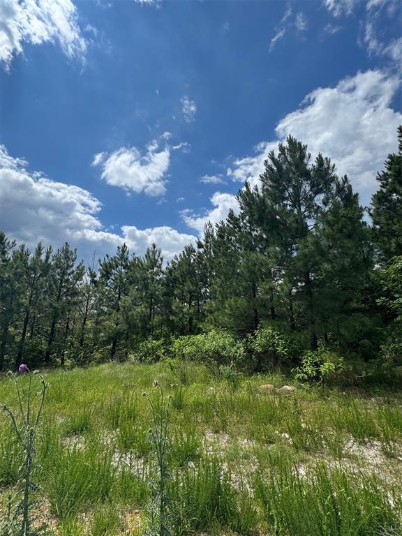 Land in Broken Bow 3