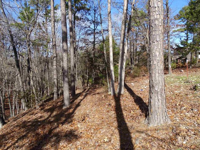 1163 Fee Hollow Ter, House other with 4 bedrooms, 3 bathrooms and null parking in Yellville AR | Image 15