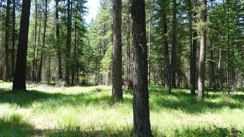 00 Skyline Way, Libby, MT, 59923 | Card Image