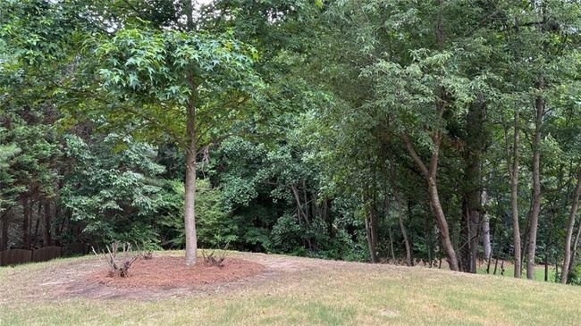 3066 Gem Creek Rd, House other with 4 bedrooms, 3 bathrooms and null parking in Buford GA | Image 41