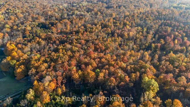 PTLT 17 Grey Road 17 N/A, Home with 0 bedrooms, 0 bathrooms and null parking in Georgian Bluffs ON | Image 9