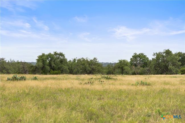 3049 Reservation Rd, Home with 0 bedrooms, 0 bathrooms and null parking in Harper TX | Image 35