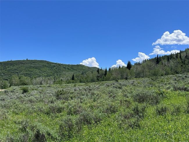 23910 Arapahoe Rd, Home with 0 bedrooms, 0 bathrooms and null parking in Oak Creek CO | Image 13