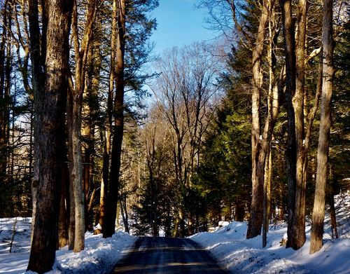 0 George Cannon Rd, Tyringham, MA, 01264 | Card Image