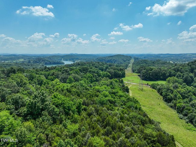 133 Devault Bridge Rd, Home with 0 bedrooms, 0 bathrooms and null parking in Piney Flats TN | Image 20