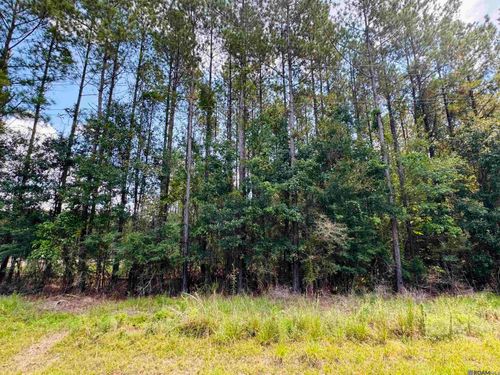Lot 15&16 Highway 449, Pine Grove, LA, 70453 | Card Image