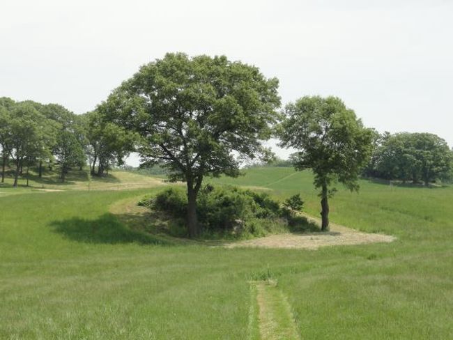 Lot 3 County Road Y, Home with 0 bedrooms, 0 bathrooms and null parking in Viroqua WI | Image 39