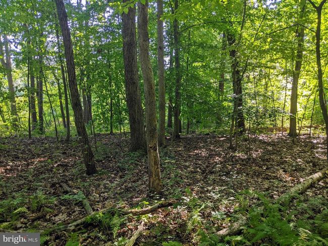 21 Hawthorne Cir, Home with 0 bedrooms, 0 bathrooms and null parking in ELVERSON PA | Image 7