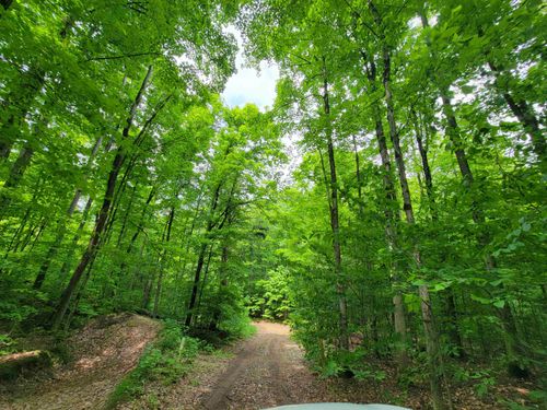 Parcel 4 Stark Road, Chestonia Township, MI, 49659 | Card Image