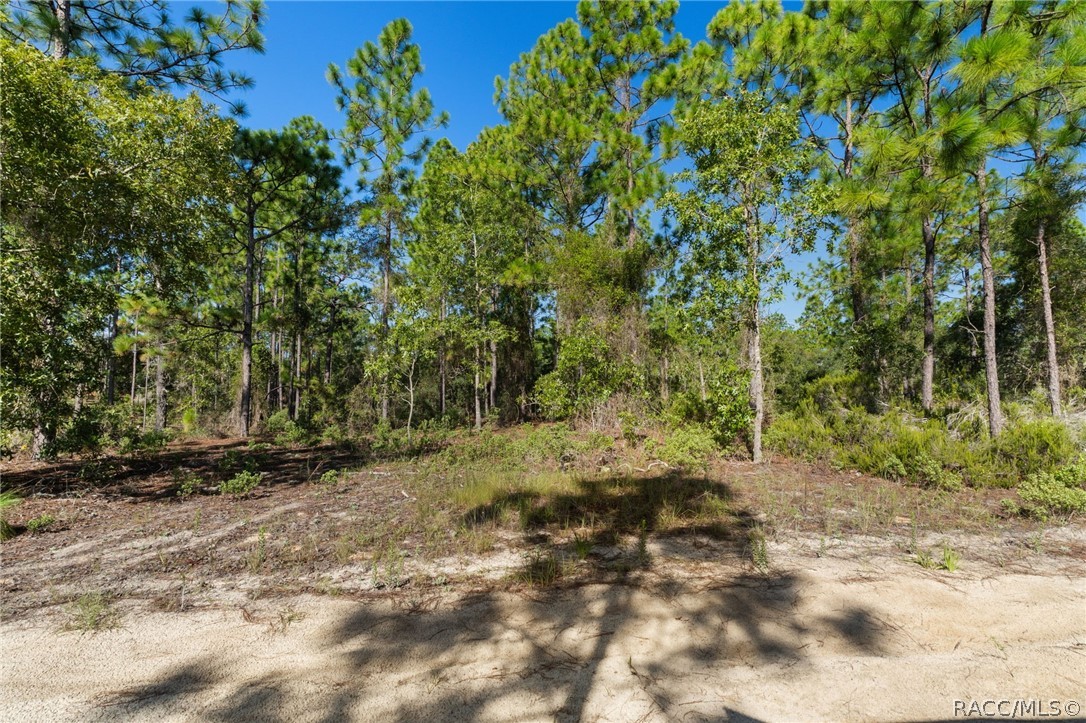 Land in Dunnellon 2