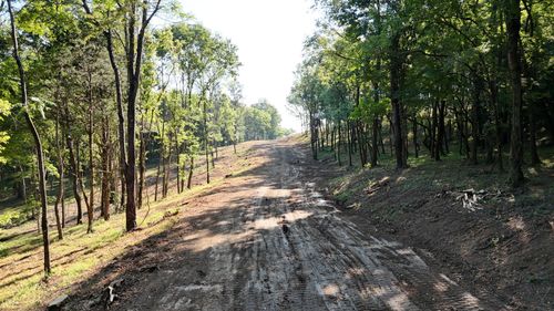 2090 Wild Cherry Dr, Lewisburg, TN, 37091 | Card Image