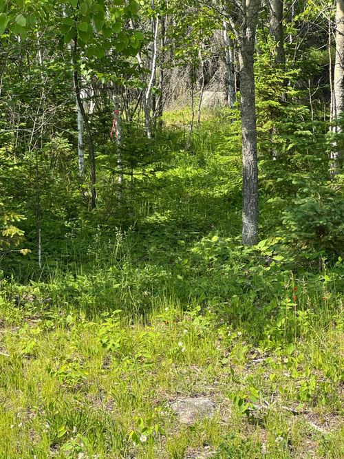 xx3.64 Gamma Road, Kabetogama, MN, 56669 | Card Image