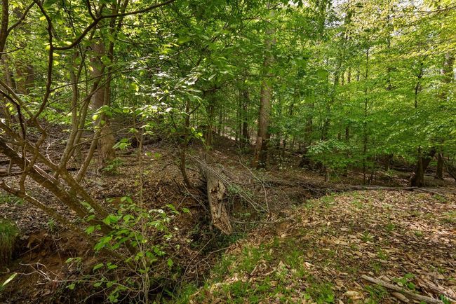379 High Point Rd, Home with 0 bedrooms, 0 bathrooms and null parking in Moneta VA | Image 17
