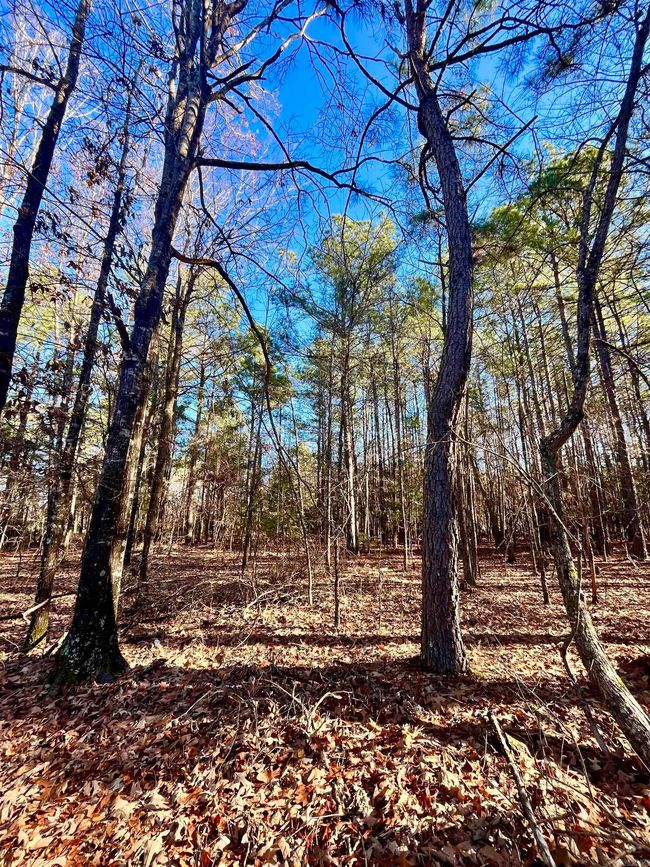 62 Dallas 409, Home with 0 bedrooms, 0 bathrooms and null parking in Leola AR | Image 7