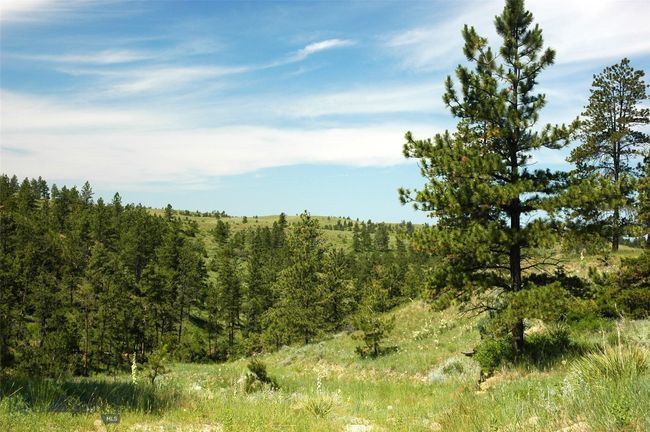 SC-25 - TBD Lone Rock Canyon Lane, Home with 0 bedrooms, 0 bathrooms and null parking in Hysham MT | Image 9