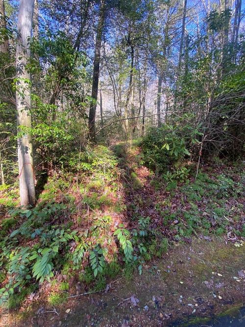 TBD Sunrise Ct, Sapphire, NC, 28774 | Card Image