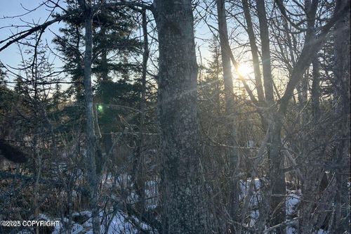 34725 N Fork Rd, Anchor Point, AK, 99556-9152 | Card Image