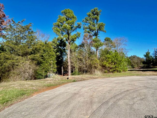 000 Grand View Dr, Home with 0 bedrooms, 0 bathrooms and null parking in Athens TX | Image 7