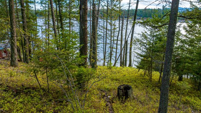 Lower lot, future build area for main house | Image 8