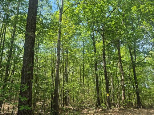 13-13 Deer Run, Farmville, VA, 23901-3640 | Card Image