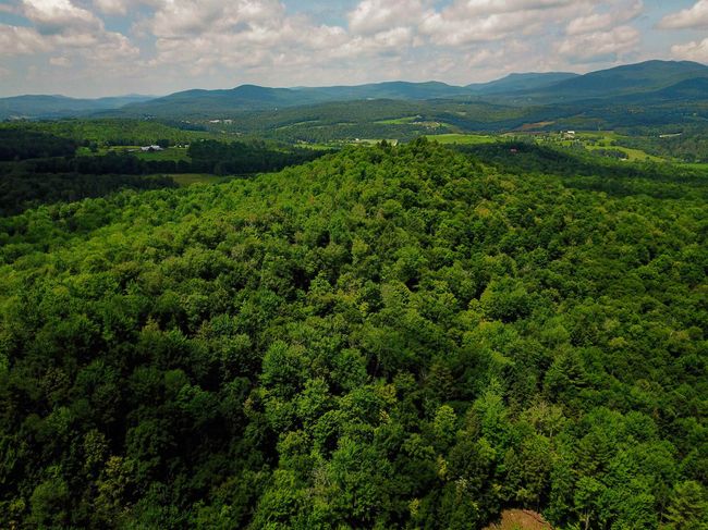 1730 Sinclair Rd, Home with 0 bedrooms, 0 bathrooms and null parking in Johnson VT | Image 9