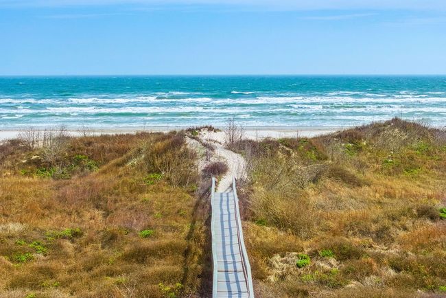 Serene walk to the beach through the dunes | Image 6