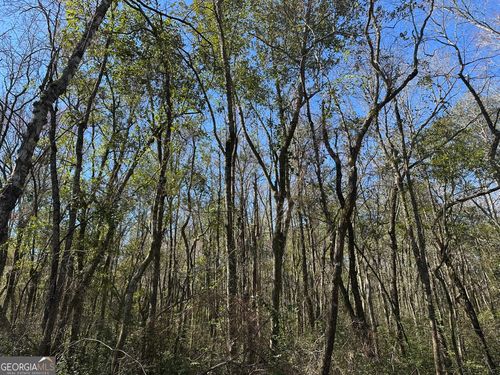 095 Mount Sinai Church Rd, Butler, GA, 31006 | Card Image