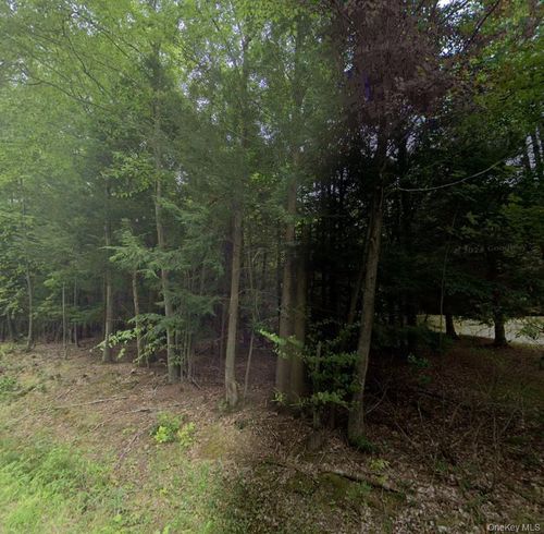 00 Lindholm Rd, Hurleyville, NY, 12747 | Card Image