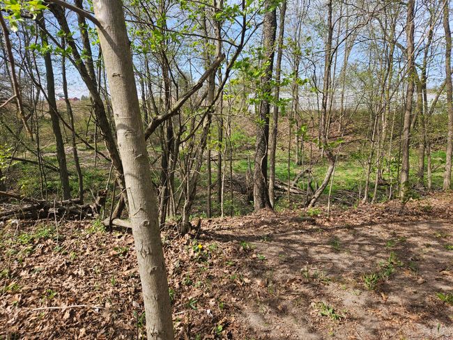 8970 Wigent Rd, House other with 1 bedrooms, 1 bathrooms and null parking in Reading MI | Image 11