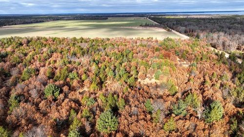 9.95 Acres 16th Avenue, NECEDAH, WI, 54646 | Card Image