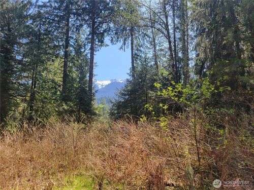 0 XXX Mtn Loop Highway, Granite Falls, WA, 98252 | Card Image