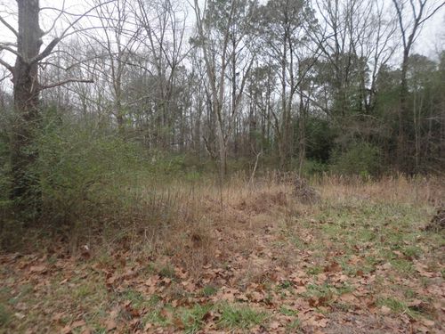 315 Self Ave Ne, Hanceville, AL, 35077-5353 | Card Image