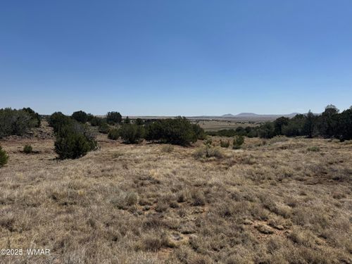 8095-5 County Rd, Concho, AZ, 85924 | Card Image