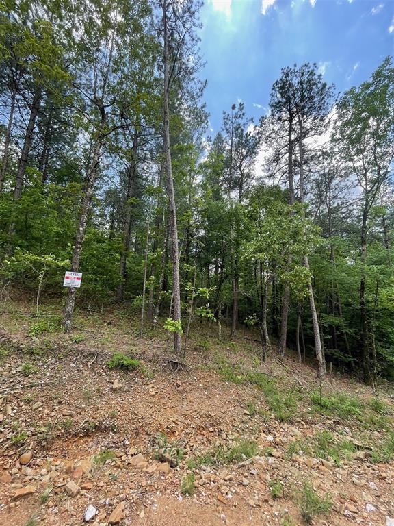 Land in Broken Bow
