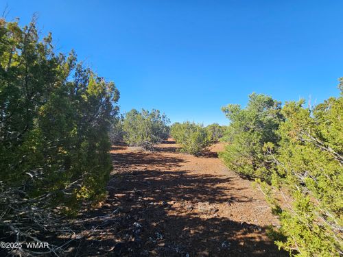 8032-21 County Rd, Concho, AZ, 85924 | Card Image
