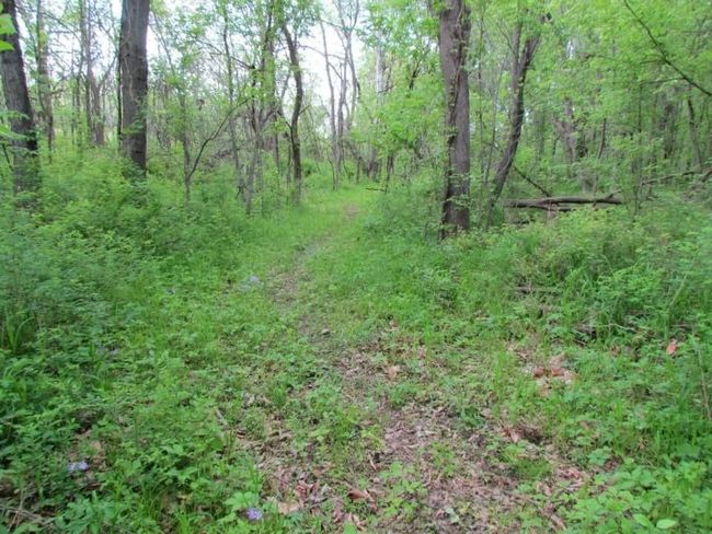 Tract 1 Renick Road, Home with 0 bedrooms, 0 bathrooms and null parking in Oak Grove MO | Image 6