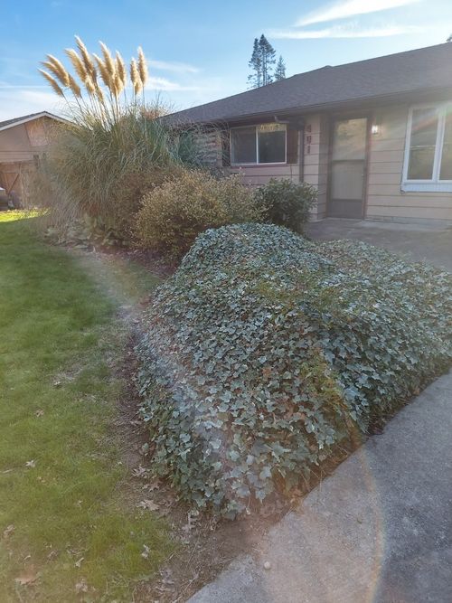 401 S Gardner Rd, Burlington, WA, 98233-2504 | Card Image