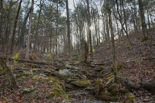 7.5 acres Mountain Meadows Road, Shirley, AR, 72153 | Card Image