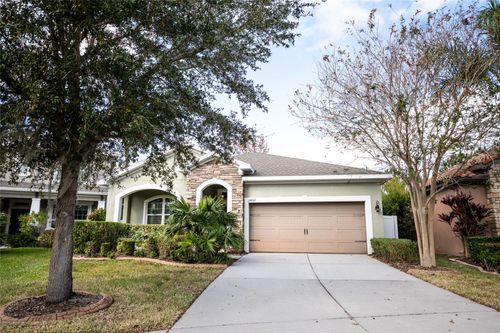 11862 Frost Aster Drive, RIVERVIEW, FL, 33579 | Card Image