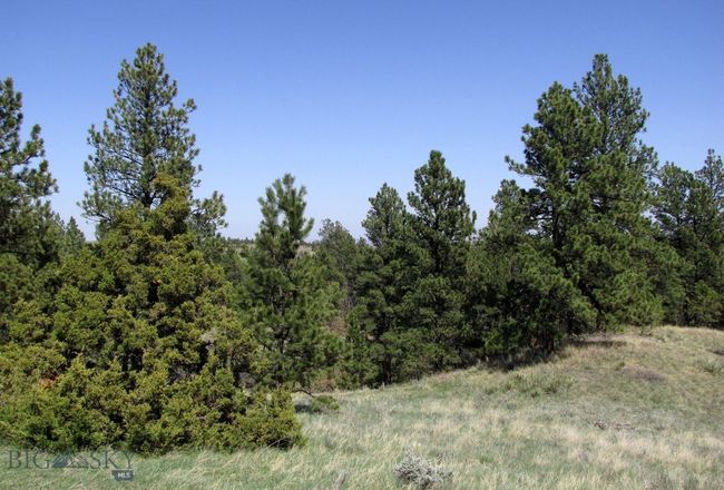 SC-28 - TBD Lone Rock Canyon Lane, Home with 0 bedrooms, 0 bathrooms and null parking in Hysham MT | Image 6
