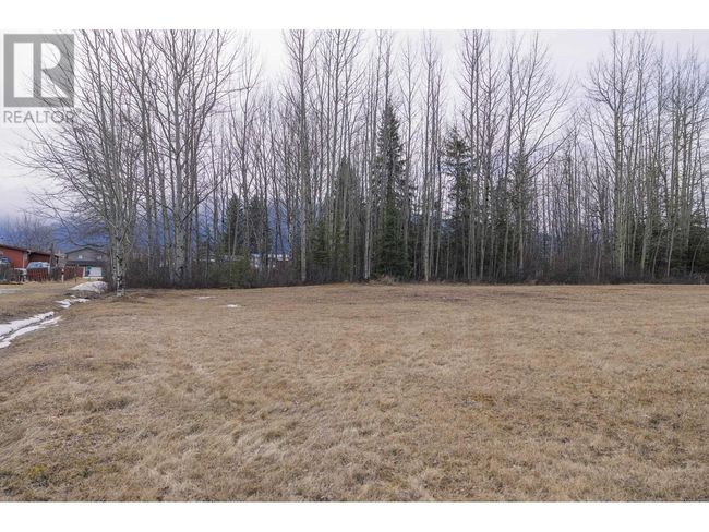 1105 S Frontage Rd, Home with 0 bedrooms, 0 bathrooms and null parking in Mcbride BC | Image 4
