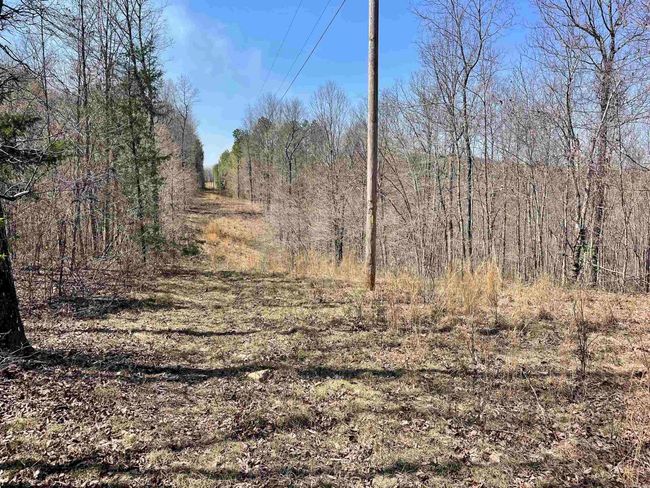 000 Dabney Rd, Home with 0 bedrooms, 0 bathrooms and null parking in Jerusalem AR | Image 21