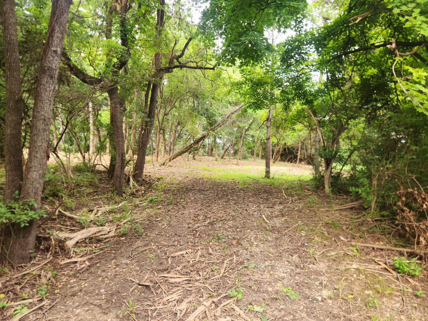 Land in Anderson Twp 2
