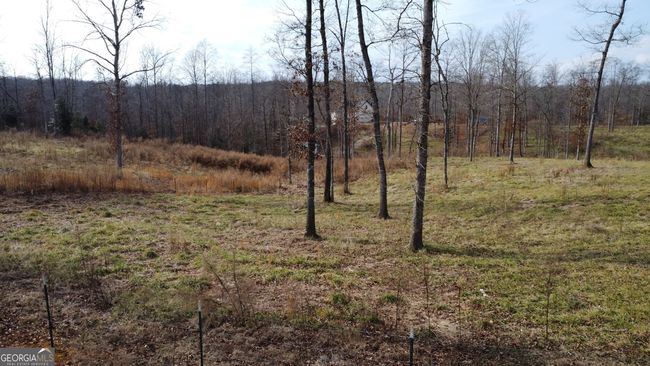 1.70 ACRES Wilkinson Rd, Home with 0 bedrooms, 0 bathrooms and null parking in Baldwin GA | Image 7