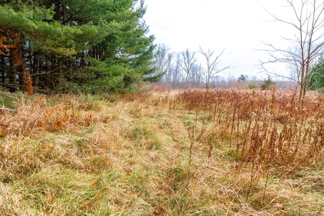 6152 Old State Rd, Home with 0 bedrooms, 1 bathrooms and null parking in North Branch MI | Image 15